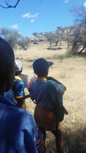 kids watching wildebeest2