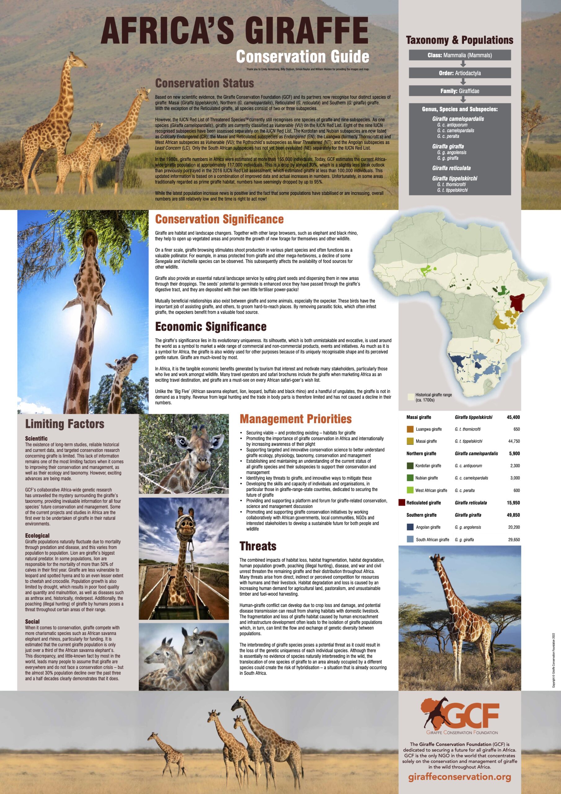 Poster: Africa’s Giraffe – Conservation Guide