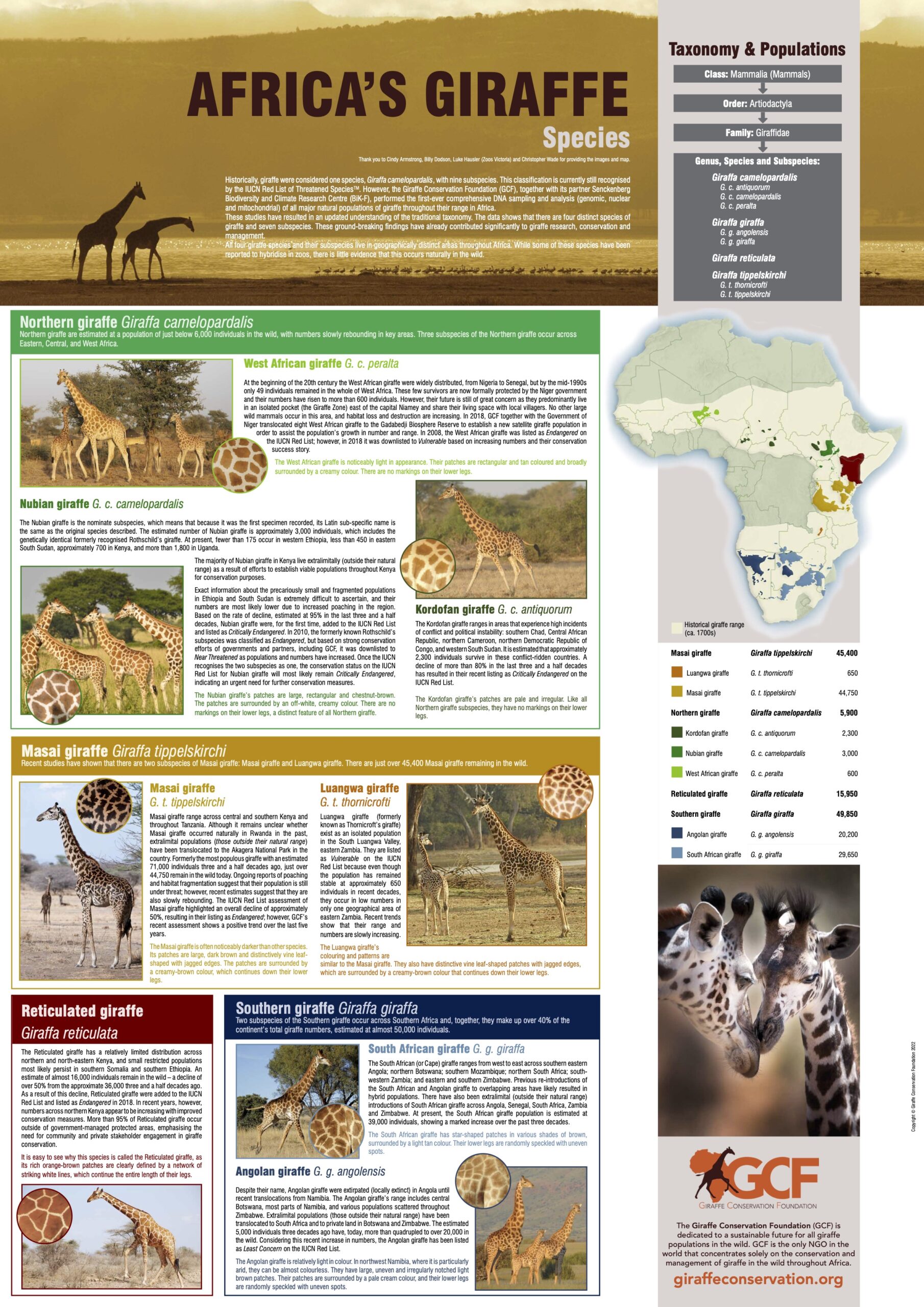 Poster: Africa’s Giraffe – Species