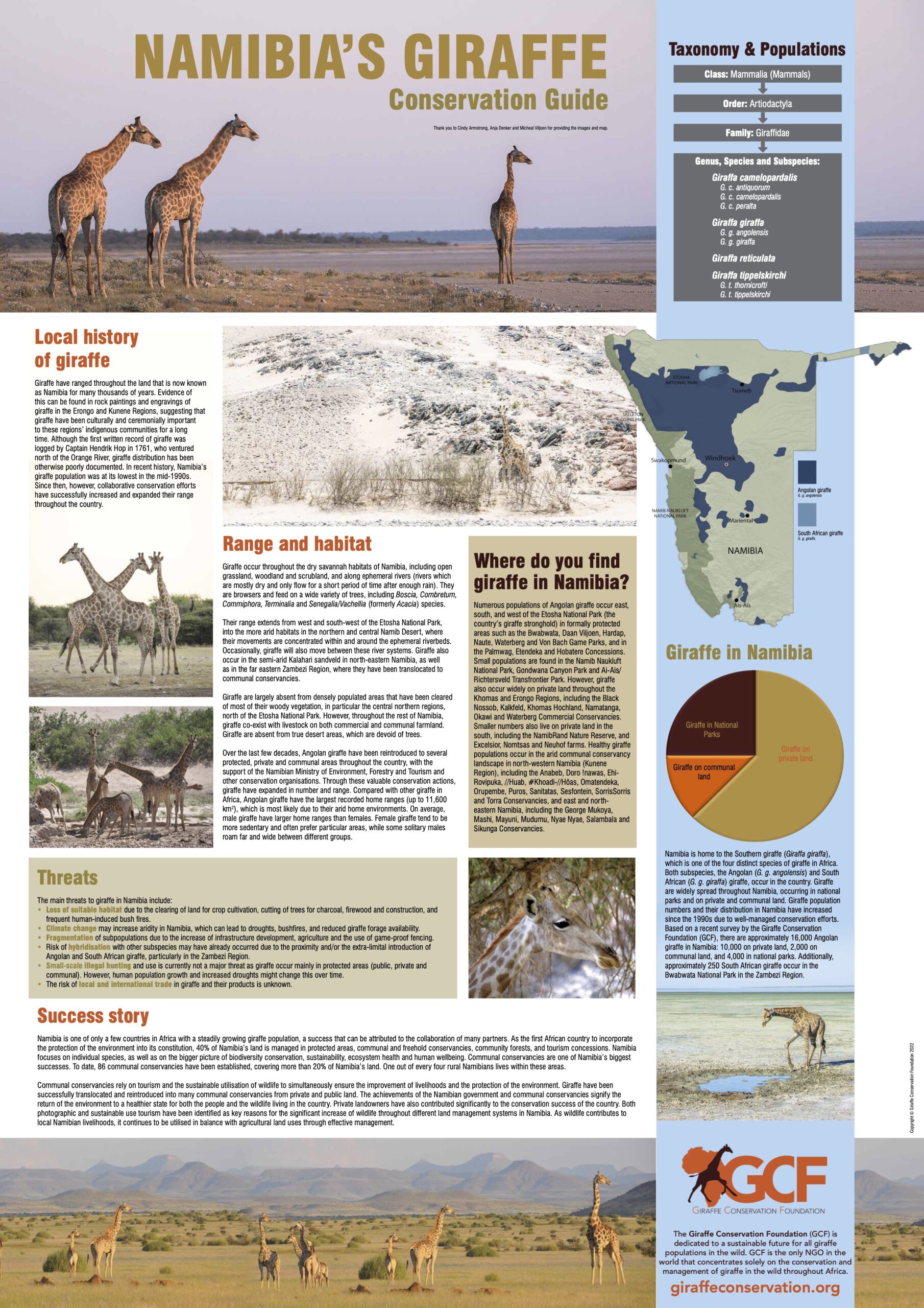 Poster: Namibia’s Giraffe – Conservation Guide