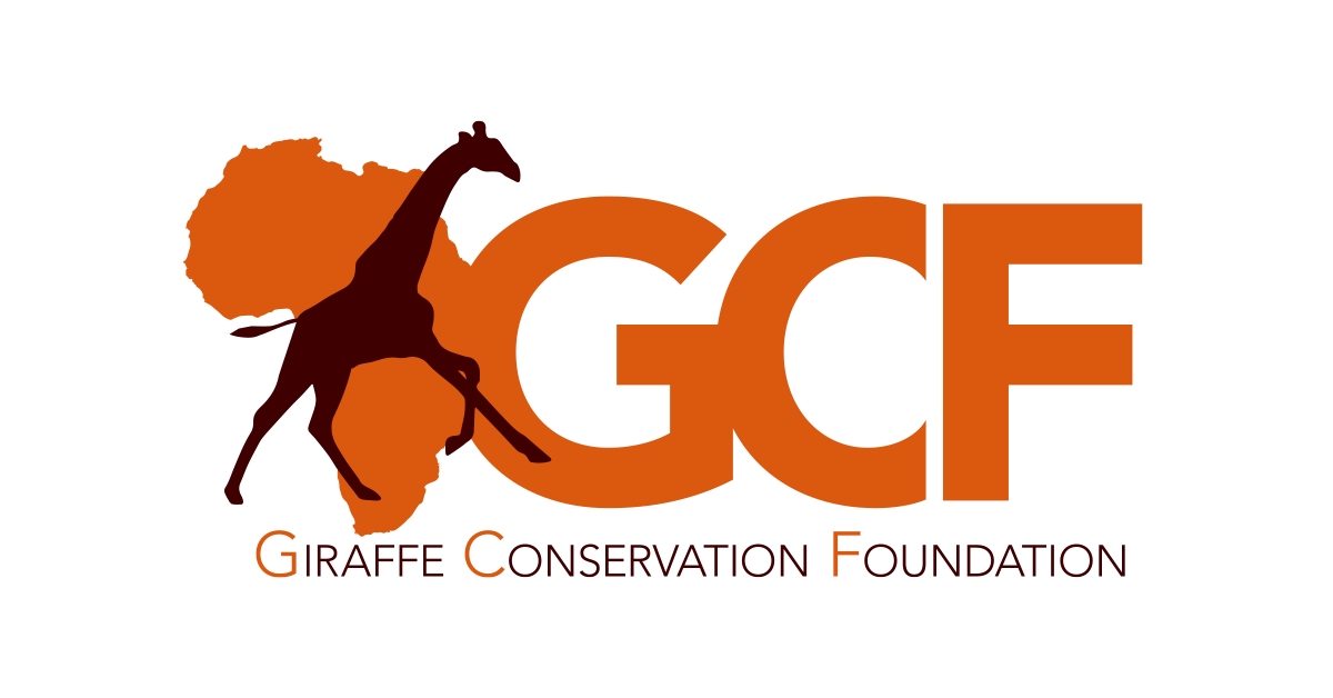 New beginnings – GCF in Africa