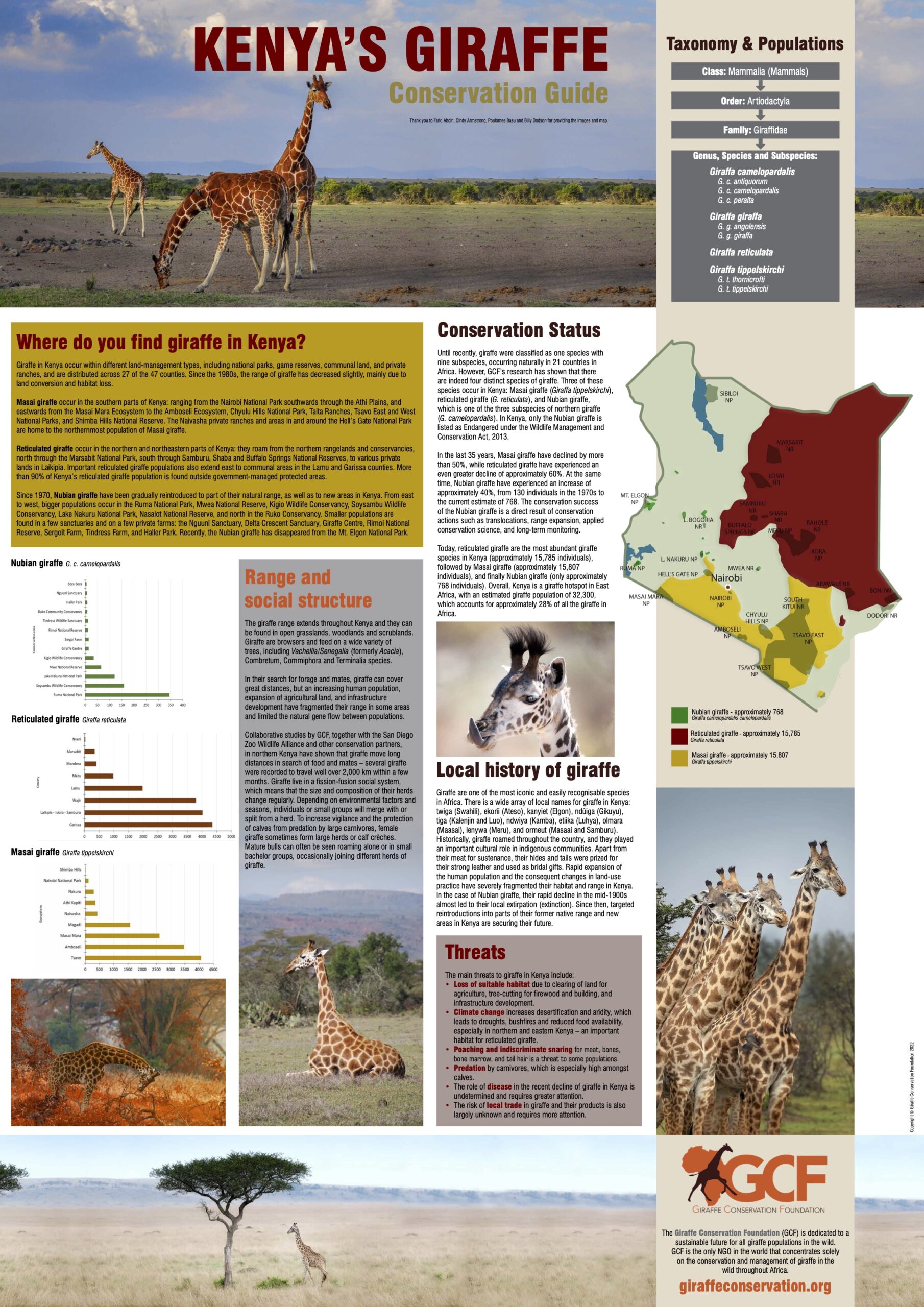 Poster: Kenya’s Giraffe – Conservation Guide