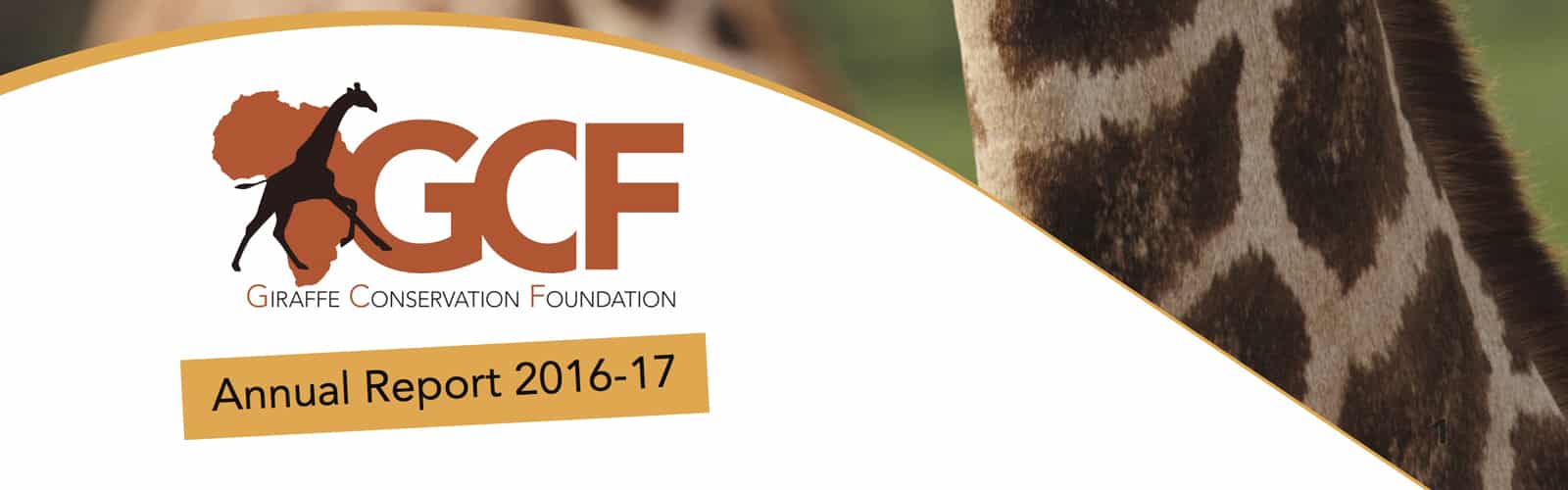 GCF Annual Report 2016/17