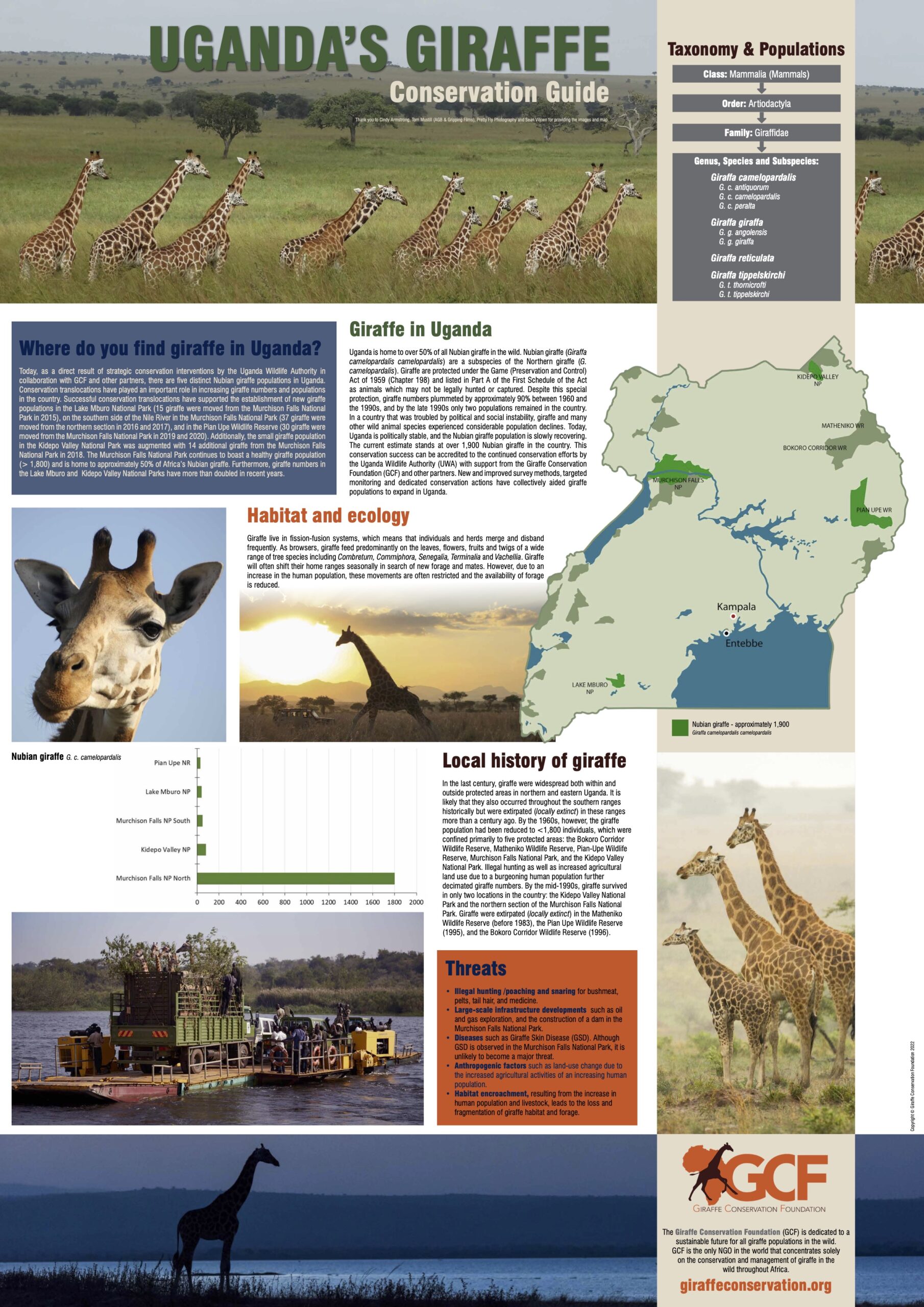 Poster: Uganda’s Giraffe – Conservation Guide