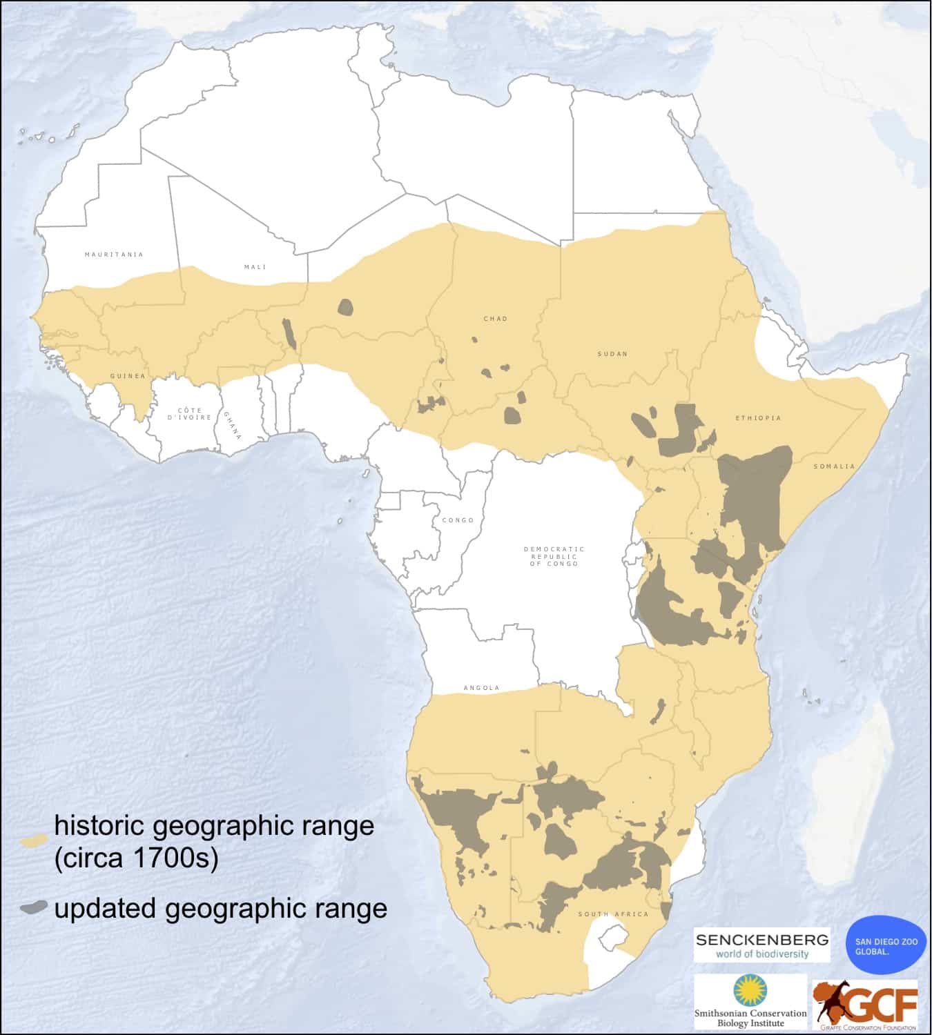 Where do giraffe really live? Giraffe Conservation Foundation