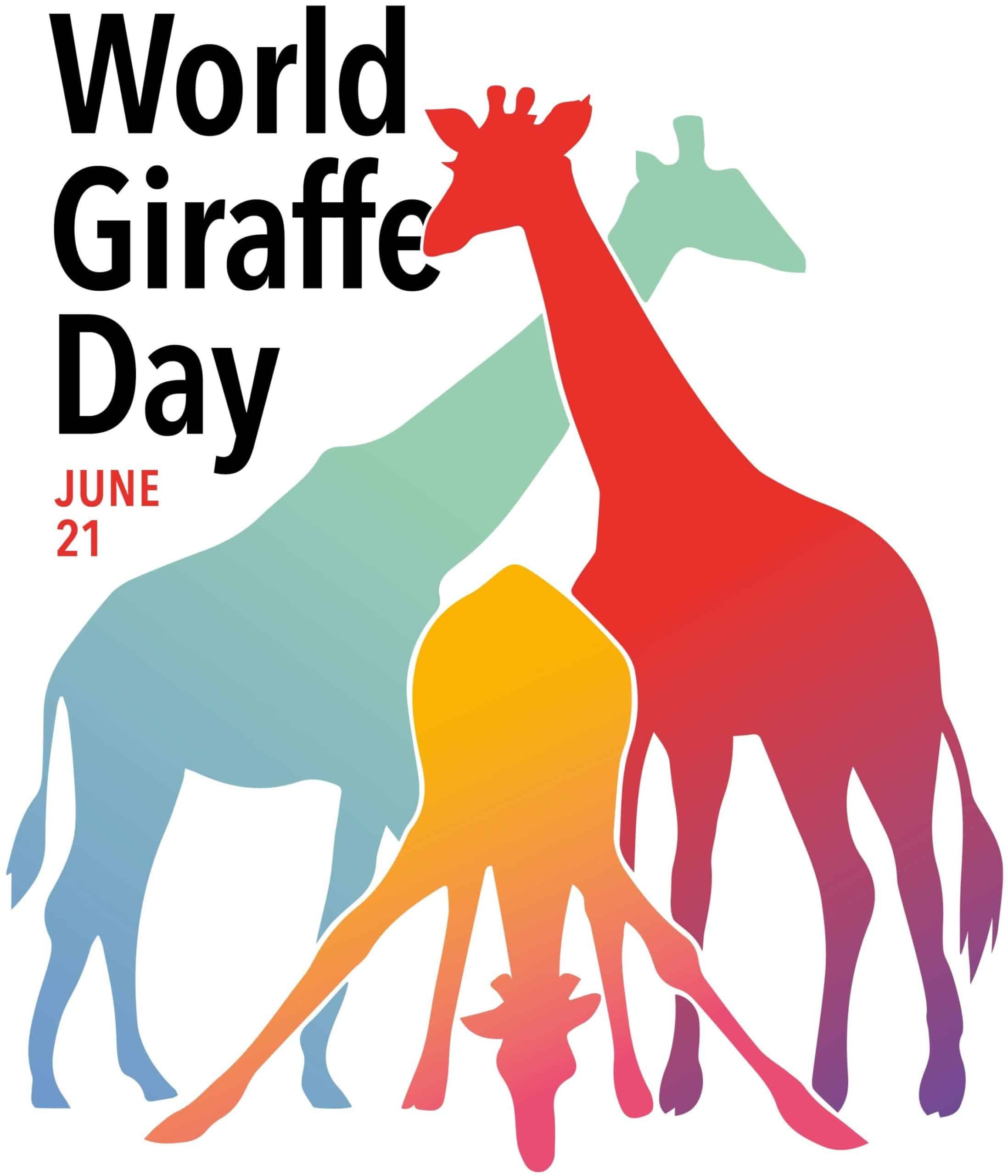 World Giraffe Day Giraffe Conservation Foundation