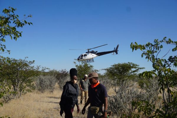 Wildlife Vet Course 2022 - Chopper with participants at Etosha Heights PR, Namibia © GCF