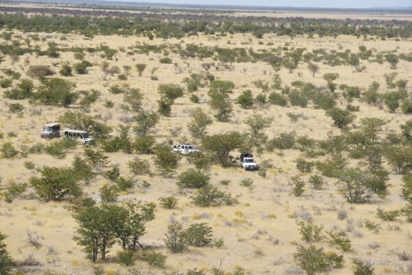 Wildlife Vet Course 2022 - Convoy at Etosha Heights PR, Namibia © GCF