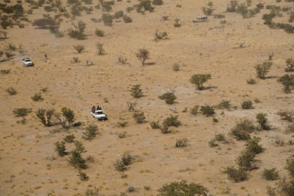 Wildlife Vet Course 2022 - Oryx procedure from the chopper at Etosha Heights PR, Namibia © GCF