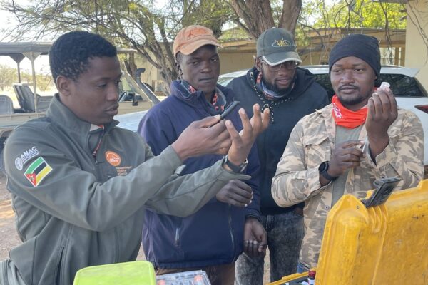 Wildlife Vet Course 2022 - Participants working together at Etosha Heights PR, Namibia © GCF procedure