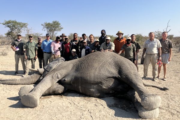 Wildlife Vet Course 2023 - team shot with immobilised elephant at EH (c) GCF (2)