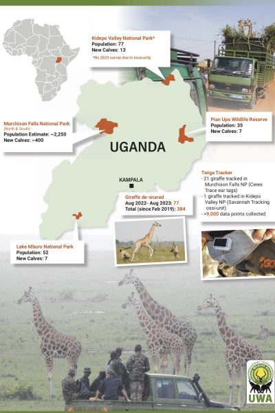 Post 9C State of Giraffe 2023 Uganda
